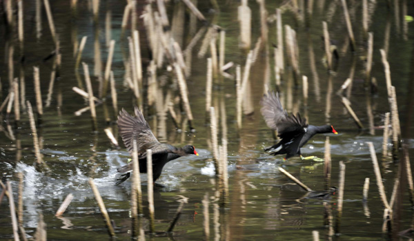 A glimpse of early spring