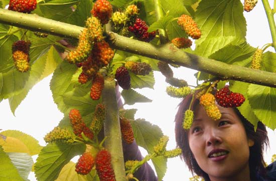 Going 'green' proves lucrative for farmers