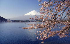 Geopolitics cut into Japanese brands on mainland market