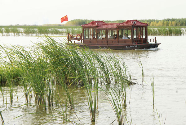 Village rides a wave of change