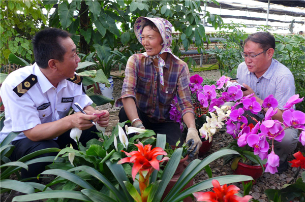 government officials visit a flower grower in Tumd Right Banner in Inner Mongolia N China farmers get help from govt officials