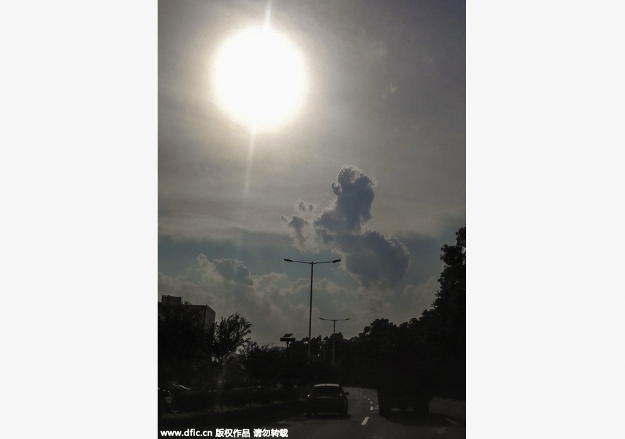 Ten photos you don't wanna miss - June 11