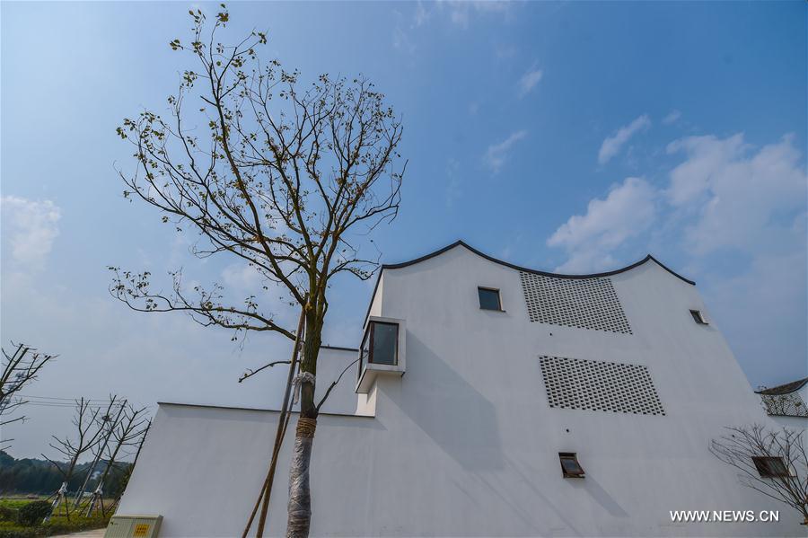 New houses in E China's village become popular on internet