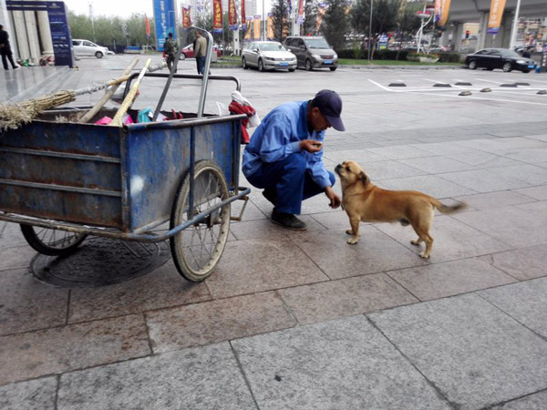 Dog helps man clean streets, collect rubbish