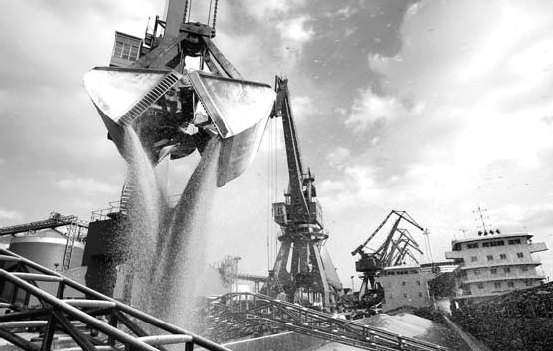 Corn overtakes rice as leading foodstuff