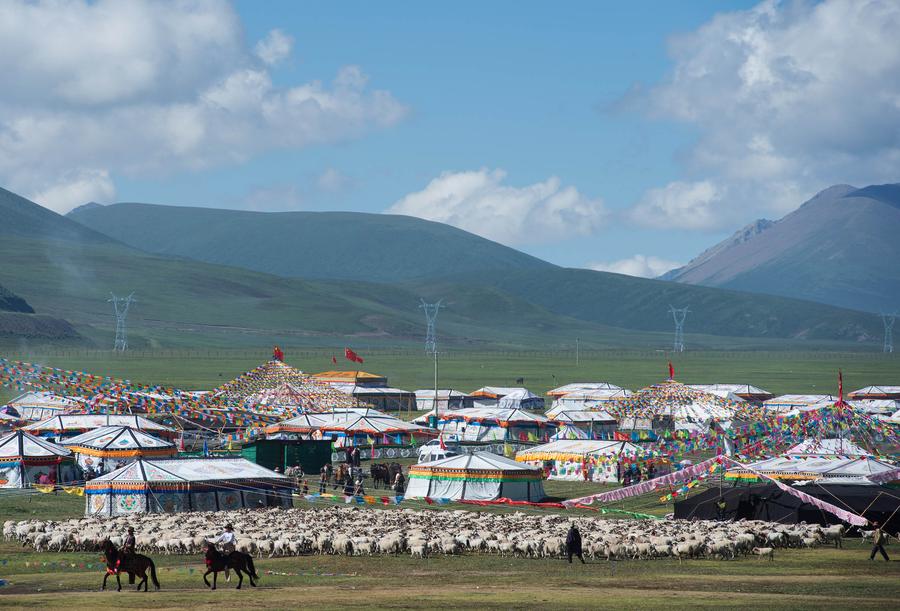 Tent festival kicks off in Shiqu, Sichuan province