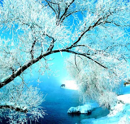 最美雪景 吉林霧凇