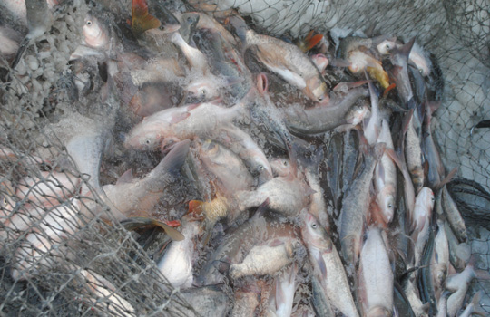 查干湖第九屆冰雪漁獵文化旅游節開幕