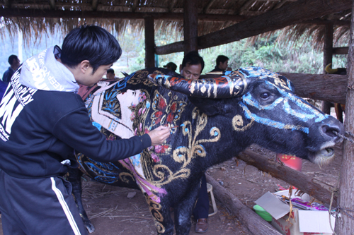 中老越三國丟包狂歡節(jié)在云南江城閉幕