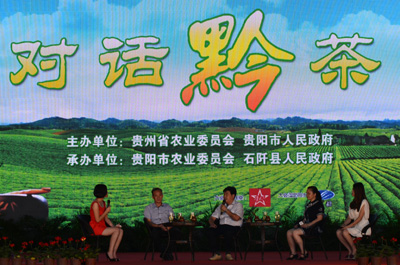 對話黔茶：“石阡速度”背后的“全國第一”夢