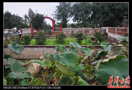 探訪湘江最美村莊：湘陰縣新泉鎮王家寨村/圖