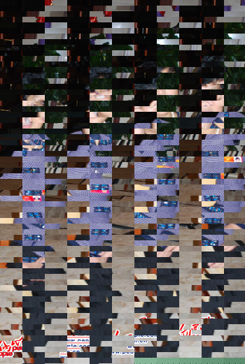 遲夙生代表：對(duì)民訴法草案的三點(diǎn)建議