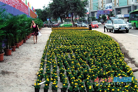 萬事俱備 只待開賽