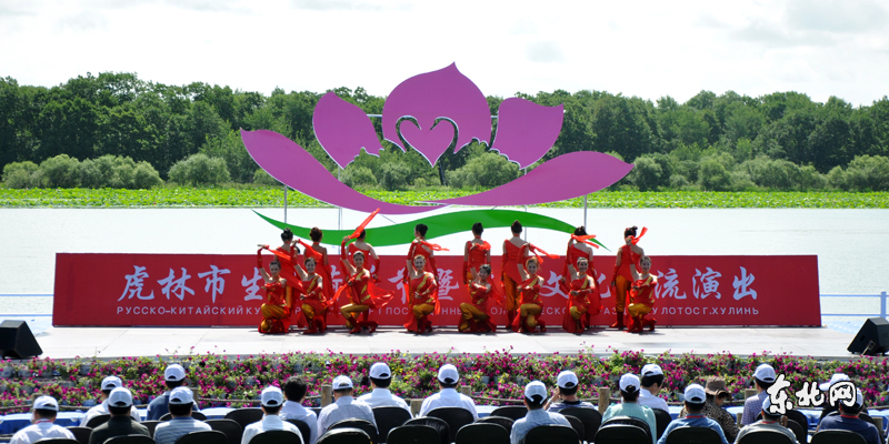 虎林市生態荷花節開幕 千畝野荷競綻放