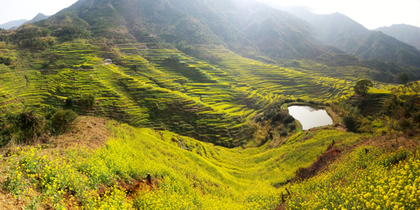 婺源：中國最美鄉(xiāng)村