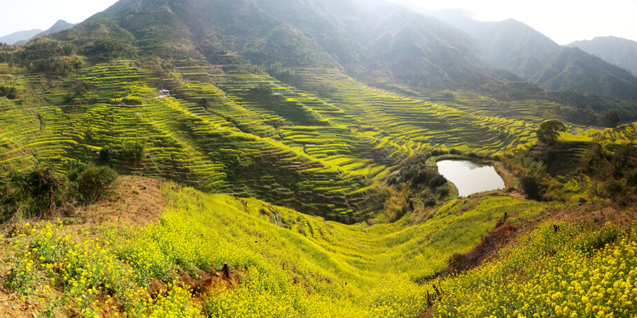 婺源篁嶺：一個(gè)美麗山村的童話