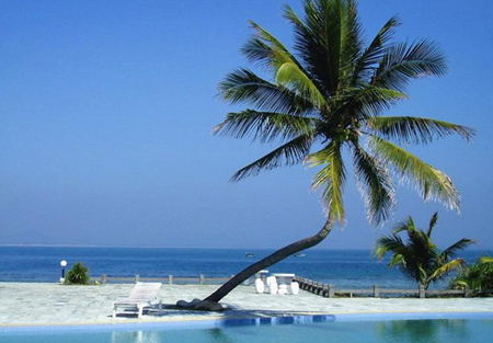 樂東地產精彩無限 八大優勢繽紛呈獻