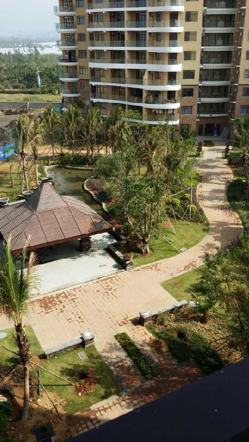 網(wǎng)媒記者贊樂東尖峰嶺:可與南美洲熱帶雨林媲美<BR>