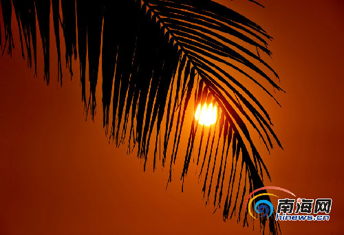 組圖:樂東風(fēng)光引人醉 龍沐灣落日美景