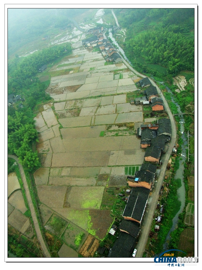 海外華人網友：回家過年 傳統的逆襲