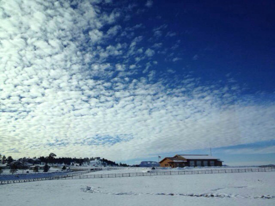 美國、歐洲、菲律賓 天下華人共有一個“春節(jié)夢”