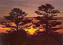 九十九龍潭 老君山