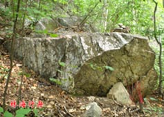 遼寧清原金山天然石佛:神奇的啟運之地