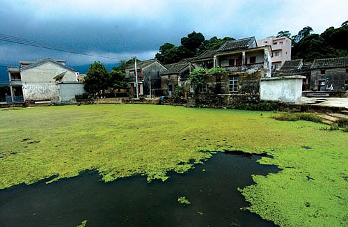 壩光村：被時光遺忘的美