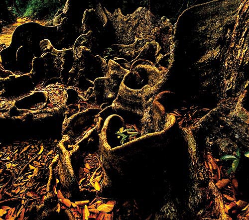 壩光村：被時光遺忘的美