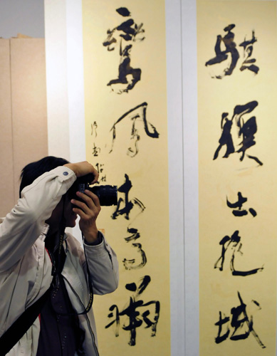 十家書法展 嶺南翰墨香