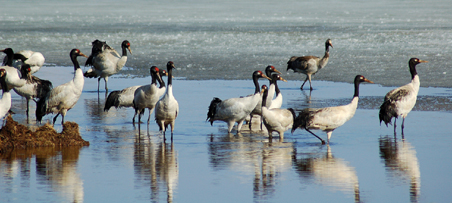 云南大山包的高原凈土