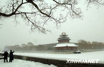 溫家寶就降雪批示:確保城市運行等