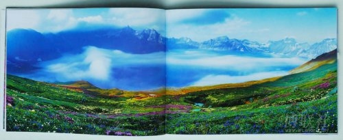 中國(guó)攝影金像獎(jiǎng)獲得者4幅作品被指造假