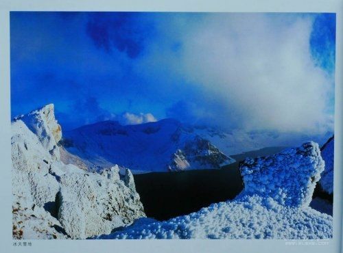 中國攝影金像獎涉嫌剽竊得主遭免職