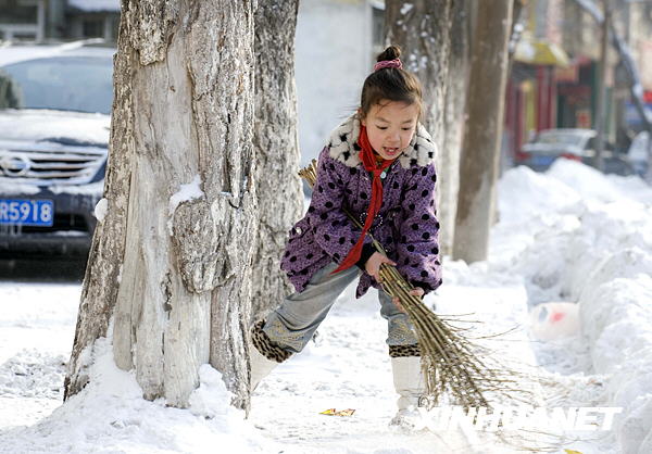 新疆北部遭受60年不遇暴雪天氣