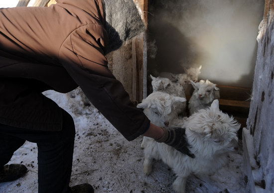 新疆阿勒泰大雪造成7人失蹤14人被困(組圖)