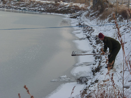 文登大面積結(jié)冰重創(chuàng)灘涂養(yǎng)殖業(yè)