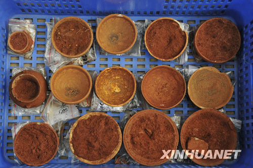 廣州發(fā)現(xiàn)大型先秦古墓群