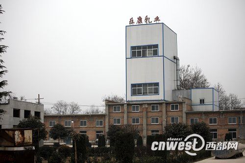 陜西毒奶粉案3人被捕 企業私用2008年過期乳粉