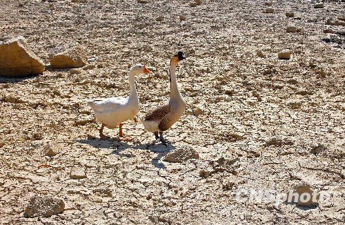 中國15省區遭遇干旱侵襲 云貴川藏青5省重旱