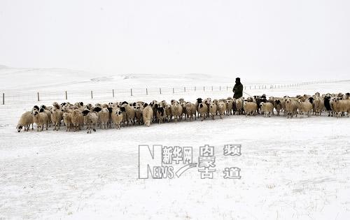 持續(xù)低溫降雪內(nèi)蒙古克什克騰旗再次遭受雪災(zāi)