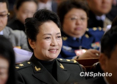 全國政協委員彭麗媛力推中華文化“走出去”