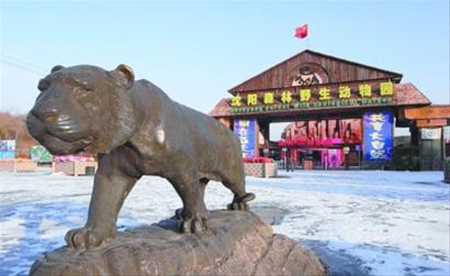 珍貴野生動物接連死亡 沈陽冰川動物園經營不善遇冷