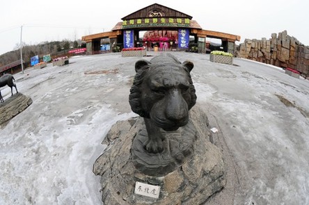 沈陽野生動物園11只東北虎營養不良死亡