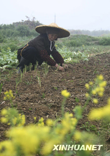 廣西部分旱區(qū)喜降春雨