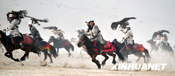 新疆“獵鷹之鄉”上演“空地大戰”