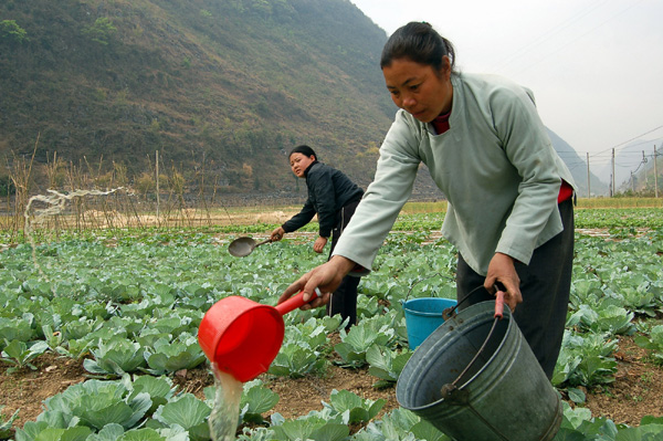 廣西樂業旱情嚴重