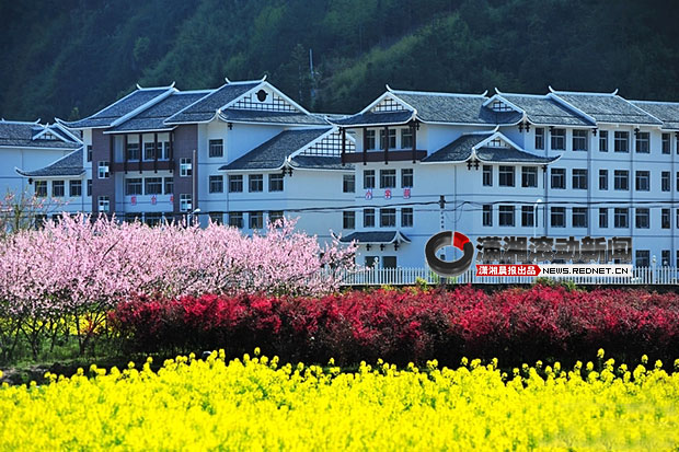 網友曝張家界“最牛鄉村學校”似別墅 耗資4000萬