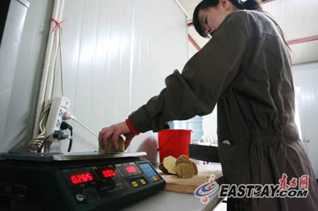 來滬3個月世博熊貓均增肥 30萬游客目睹國寶風采