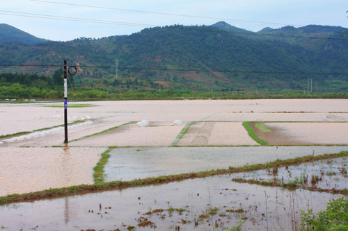 廣西恭城發生洪澇災害